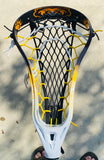 Lacrosse Stick Kodiaks Series #2 "Mama Bear's Watching"