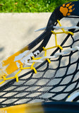 Lacrosse Stick Kodiaks Series #2 "Mama Bear's Watching"